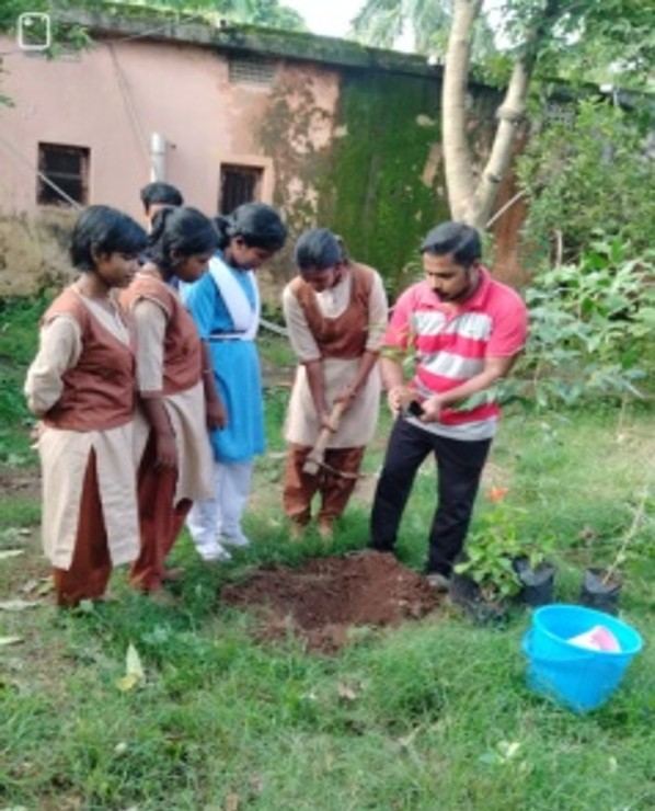 Children participating in a tree plantation activity